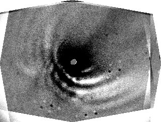 Hale-Bopp rotation radial-shift algorithm