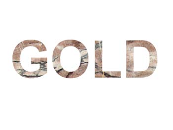 uebung-008-goldtransfortext