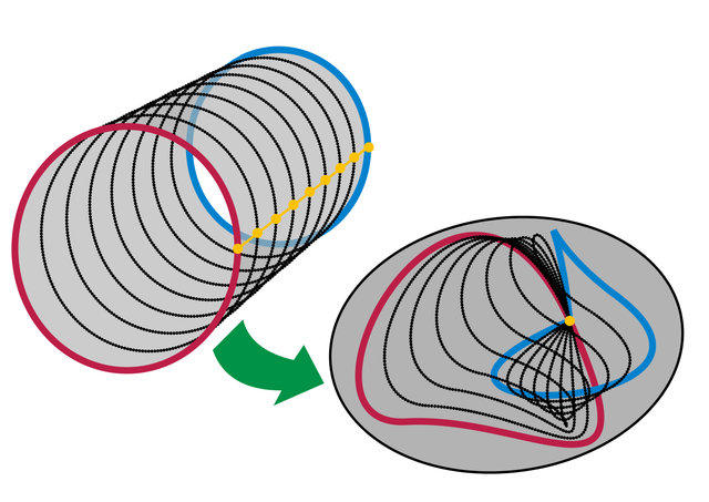 pointed homotopy