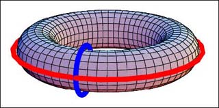 Torus