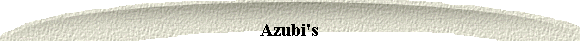  Azubi's 