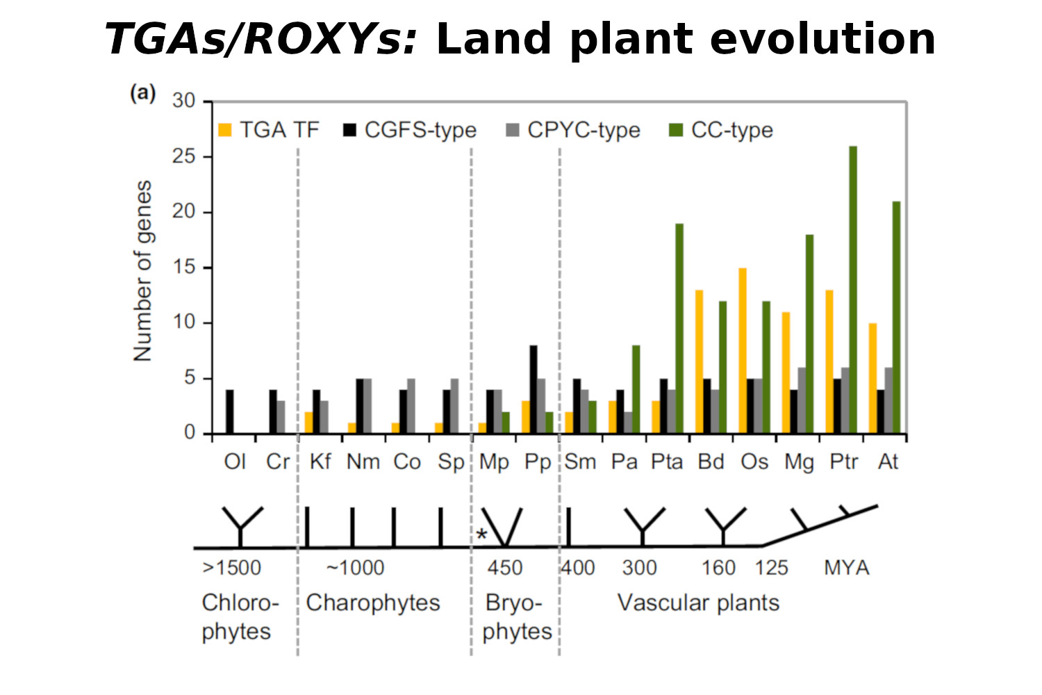 The regulatory activity of CC-type glutaredoxins (ROXYs) and their redox-sensitive DNA binding with TGA transcription factors has been conserved during land plant evolution. <br>Gutsche et al.; Plant Direct, 2017 